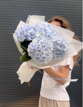 White Hydrangea Bouquets from Fun Flowers – Classic Beauty